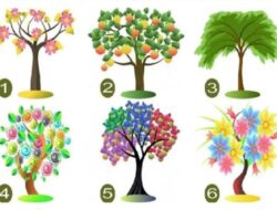 Tes Kepribadian: Pohon yang Anda Pilih Akan Menunjukkan Ciri-ciri Kepribadian Dominan Anda