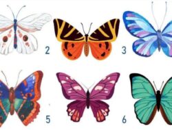 Tes Kepribadian: Tes Menyenangkan, Kupu-kupu yang Anda Pilih Mengungkapkan Kepribadian Anda
