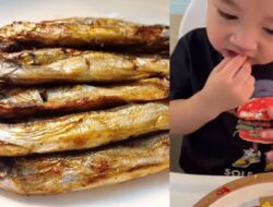 Pernah Viral dimakan Anak Artis, ini Fakta Ikan Shisamo