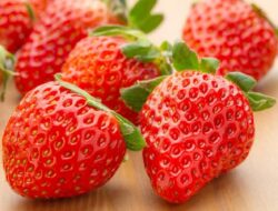 5 Buah ini Dapat Meredakan Jerawat