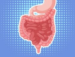 Simak, Ini Penyebab dan Gejala Peradangan Usus