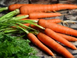 Selain Kesehatan Mata, Ini Manfaat Lain Wortel Bagi Kesehatan