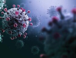 Mengenal Infeksi Virus West Nile