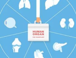 Bagaimana Hukum Transplantasi Organ dalam Islam?