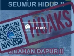 [HOAKS] Kandungan MSG pada Micin dapat Menghilangkan Flek Hitam dan Memutihkan Wajah