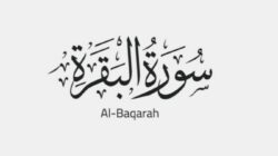 Manfaat 2 Ayat Terakhir Surah Al Baqarah