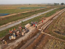 Upaya Mewujudkan Swasembada Pangan, Langkah Ini yang Dilakukan Kementerian PU di Jawa Barat