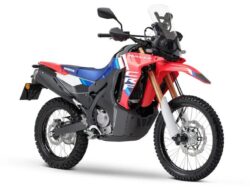 Honda CRF300 Rally 2025 Dluncurkan, Cek Fitur dan Spesifikasinya