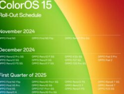 Oppo Umumkan Jadwal Peluncuran Global ColorOS 15, Cek di Sini