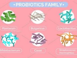 Manfaat Bakteri Baik bagi Kesehatan Tubuh