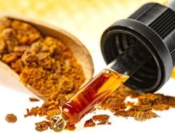 Khasiat Propolis: Sang Pelindung Alami dari Sarang Lebah