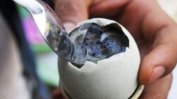 Fakta dan Kebenaran yang Tak Terungkap tentang Makanan Balut