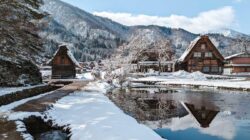 Kenali Sejarah, Tips dan Aktivitas Desa Shirakawago di Jepang Ini