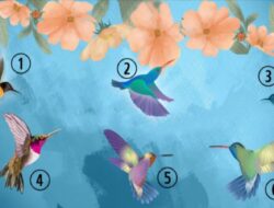 Tes Psikologi: Pilih Burung Kolibri yang Paling Menarik Perhatian dan Temukan Sikap Anda Saat Ini Terhadap Kehidupan