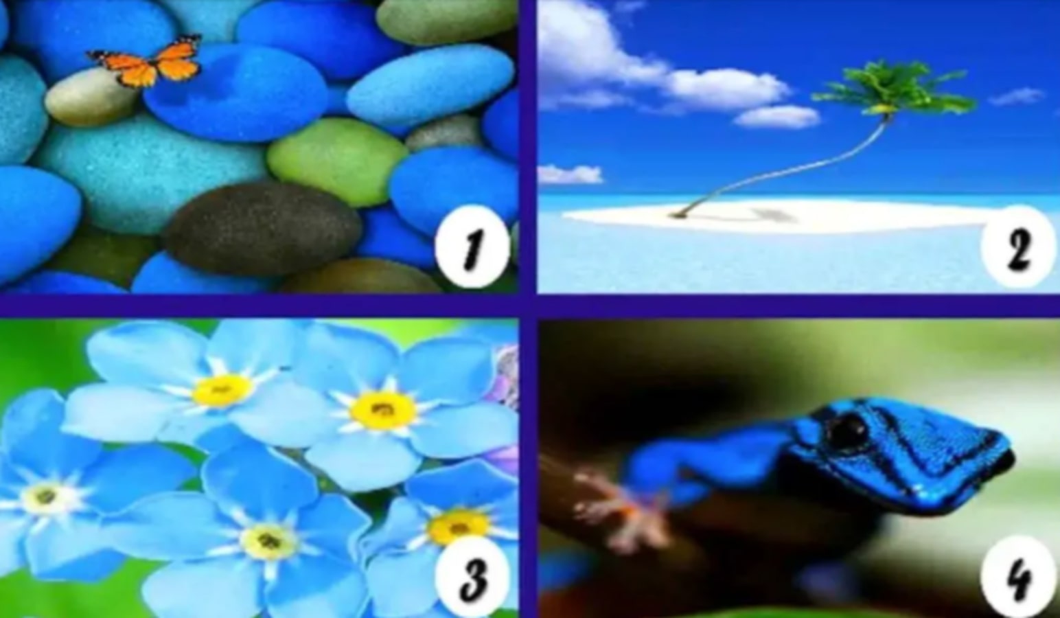 Tes Psikologi: Mana yang Anda Pilih? Warna Biru Mencerminkan Aspek Tersembunyi dari Karakter Anda