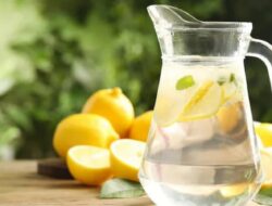 Awali Pagi Anda dengan Benar! 5 Minuman Bergizi untuk Kulit Sehat dan Bercahaya