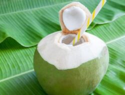Manfaat Minum Air Kelapa Setiap Hari Saat Perut Kosong Bagi Tubuh Anda