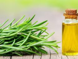 Air Rosemary untuk Pertumbuhan Rambut: Ketahui Cara Membuatnya di Rumah