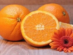 5 Buah Kaya Kolagen yang Dapat Menjaga Kesehatan dan Kebersihan Kulit Anda