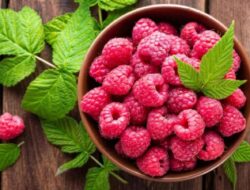 6 Manfaat Buah Rasberi yang akan Membuat Anda Ingin Mengonsumsi Buah Ini Setiap Hari