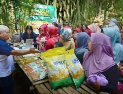 Jaga Harga dan Ketersediaan Pangan Nasional, Bulog Gencarkan Penyaluran Beras SPHP