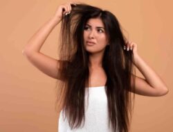 Solusi Rumahan untuk Rambut Kering: 10 Cara Melembapkan Rambut Secara Alami