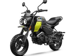 Memperkenalkan CFMoto Papio X0-2, Sepeda Motor Mini Scrambler, Cek Spesifiksi dan Harganya