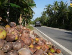 Konstruksi Inpres Jalan Daerah pada Kuartal III 2025 Jadi Target Kementerian PU, Upaya Percepatan Distribusi Pangan dan Energi
