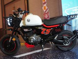 Minibike Cyclone Mini Panda 150cc Diluncurkan, Cek Spesifikasi dan Harganya