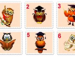 Tes Psikologi: Terima Nasihat Bijaksana Demi Meningkatkan Kualitas Hidup Anda dengan Memilih Burung Hantu