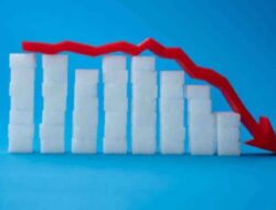 Diabetes: 5 Alasan Mengapa Kadar Gula Darah Bisa Berfluktuasi