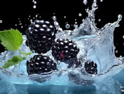 Blackberry Itu ‘Berry’ yang Lezat! Berikut Ini 8 Manfaat Kesehatan yang Perlu Anda Ketahui