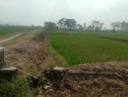 Proyek Fiktif di Desa Tegalsari Weru Dibidik Kejari Sukoharjo