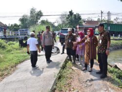 BBWSBS Tak Beri Respon, Bupati Sukoharjo Turun Cek Lokasi Terdampak Bengawan Solo