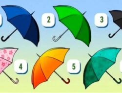 Tes Kepribadian: Ungkapkan Sifat Baru dari Karaktermu yang Sesungguhnya dengan memilih Payung Favorit