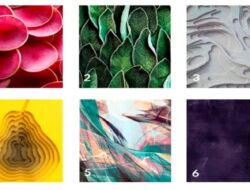 Tes Psikologi: Pilih Gambar dan Cari Tahu Apa Tujuan Hidup Anda dan Apa yang Memberi Makna Sejati dalam Hidup Anda?