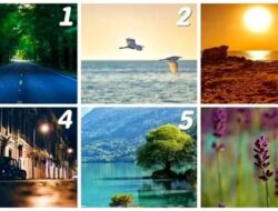 Tes Psikologi: Temukan Apa yang Akan Memberi Anda Kebahagiaan Terbesar dalam Hidup dengan Memilih Gambar