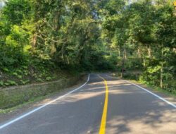 Preservasi Rampung Lebih Cepat, Jalur Gumitir Jember-Banyuwangi Dibuka Fungsional