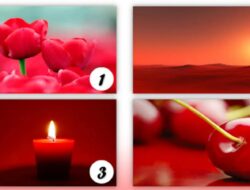 Tes Psikologi Merah: Melalui Warna Pilihan, Ungkap Kepribadian Anda