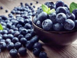 5 Alasan Luar Biasa untuk Menambahkan Blueberry Kaya Antioksidan ke dalam Pola Makan Anda