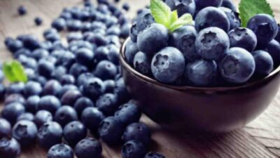 5 Alasan Luar Biasa untuk Menambahkan Blueberry Kaya Antioksidan ke dalam Pola Makan Anda