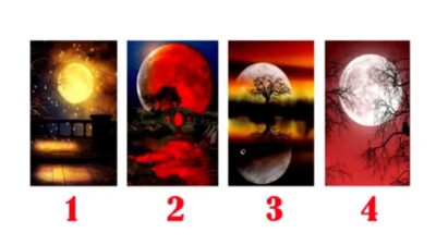 Tes Psikologi: Ungkap Rahasia Karakter Anda dengan Memilih Bulan Favorit