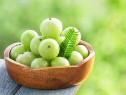 Amla untuk Diabetes: 6 Cara Memasukkan Gooseberry India Ini ke Dalam Menu Makanan Anda