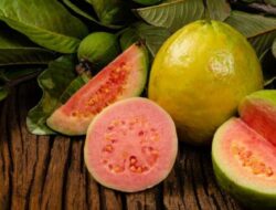 Jambu Biji Merah: Simak 6 Manfaat Kesehatan dari Buah yang Ramah untuk Diabetes Ini