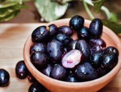 Mencari Buah yang Dapat Melawan Diabetes? Pastikan untuk Mengonsumsi Jamblang