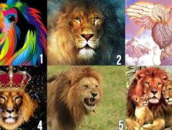 Tes Kepribadian: Pilih Singa untuk Mempelajari Lebih Lanjut Pasangan Seperti Apa yang Anda Butuhkan dalam Hidup?