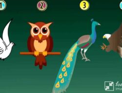 Tes Kepribadian: Temukan Sifat Sejati Anda dengan Memilih Burung yang Paling Disukai