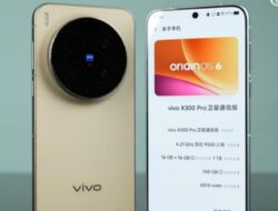 Ukuran Baterai Vivo X300 dan X300 Pro Terungkap: 6.040mAh dan 6.510mAh