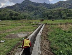 Melalui P3TGAI, Kementerian PU Perkuat Infrastruktur Irigasi di 8.000 Lokasi