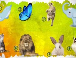 Tes Psikologi: Pilih Hewan dan Temukan Karunia Rohani Anda dan Cara Menggunakannya